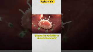 viralvideo ytshorts ytshort science study students stunt bloodstrike health healthy [upl. by Stefano]