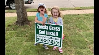 Zoysia Kids Selling The Dream Of A Great Lawn [upl. by Him]