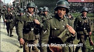 Jawoll das stimmt jawoll [upl. by Olivero]