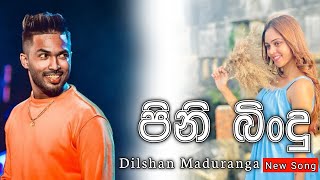 Pini Bindu පිණි බිංදු Dilshan Maduranga New Song  Sada Nathi Wu Kaliu Ahasayi [upl. by Andrey]