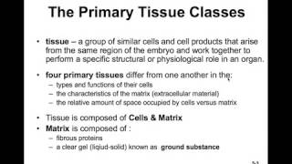 Anatomy amp Physiology I amp II  CH05a Intro to Histology [upl. by Ermin]