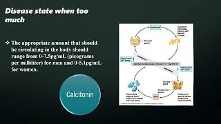 Molecule Project  Calcitonin [upl. by Ennaeel]