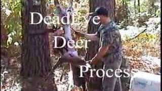 DeadEye Deer Process  Deer Processing made simple [upl. by Velma545]