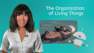 The Organization of Living Things  Environmental Science for Teens [upl. by Hasen]