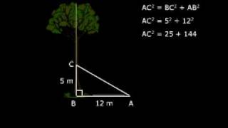 How to Study CBSE X Maths Tutorials Online NCERT Solutions [upl. by Anael]