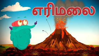 எரிமலை வெடிப்பு  Volcano  How Volcanoes Erupt  DrBinocs Tamil  Best Learning Videos For Kids [upl. by Harlie]