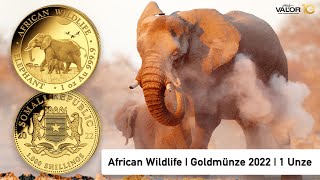 African Wildlife  Somalia Elefant 1 Unze Goldmünze  Gold Coin  1 oz  myVALOR [upl. by Savill437]