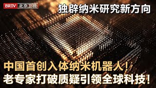 2024最新｜开创世界首个纳米材料安全性研究！中国首创纳米机器人可入人体，8秒止血针对消灭肿瘤细胞，老专家打破质疑引领全球！【大先生】 [upl. by Selbbep137]