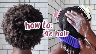 Curly Hair 101 Beginners Guide to 4C Hair [upl. by Smukler771]