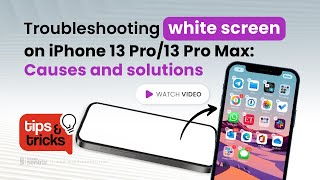 White Screen iPhone 13 Pro13 Pro Max Solution Tips and Tricks 60 [upl. by Dett956]