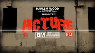 Harlem Wood  Picture Official Visual [upl. by Welcy]