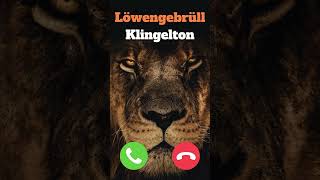 🦁 Löwengebrüll als Klingelton kostenlos downloaden für iPhone amp Android [upl. by Rahr216]