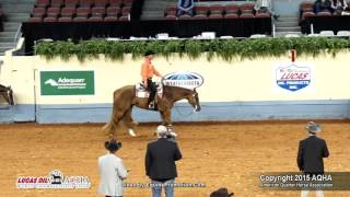 A Judges Perspective 2015 World Show Senior Western Pleasure [upl. by Opaline]