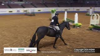 Junior Working Hunter  2024 AQHA World Championship Show [upl. by Kosiur705]