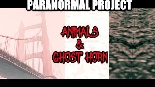 GTA San Andreas Myths  Animals amp Ghost horn  PARANORMAL PROJECT 5 [upl. by Adnilra]