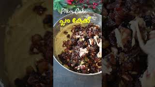 Rich Plum Cake  കിടിലൻ പ്ലം കേക്ക് റെസിപ്പി  Plum Cake Recipe Malayalam  1 kg Plum Cake Recipe [upl. by Ennaer]