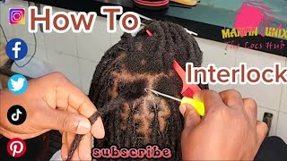 Mastering How to Interlock Dreadlocks as a way of Maintenence [upl. by Llemrej]