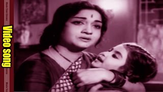 Chinari Krishnayya Video Song  Nirdoshi Movie  NTR Savitri Anjali Devi  MovieTimeCinema [upl. by Rieth]