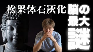 松果体石灰化の謎と活性化はできるのか [upl. by Fassold]