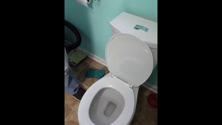 AS H2Option Dual Flush Round Front Toilet in White Seeds Review [upl. by Liew]