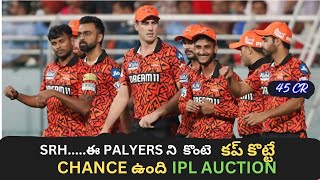 SRH Should Buy this players to win IPL 2025  auction 2025 [upl. by Ciri]