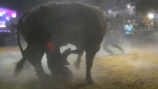 LLEGO LA TRAGEDIA AL JARIPEO  RANCHO LA HERENCIA EN XALPATLAHUAC GUERRERO 2024 [upl. by Nyrek787]