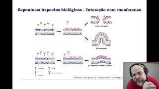 Saponinas [upl. by Levins]
