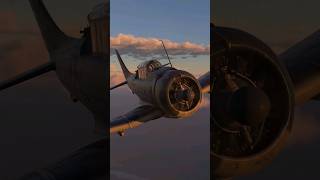 The SBD Dauntless Dive Bomber One of the US Navys many recognizable aircraft [upl. by Nitsug]