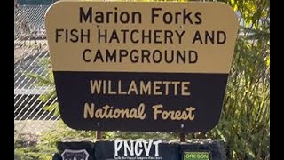 Video Tour of Marion Forks Campground  Willamette National Forest OR PNCVT [upl. by Mulvihill]