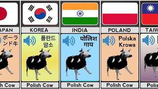 quotPolish Cowquot In Different Languages With Voice [upl. by Stover318]