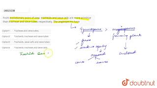 From evolutionary point of view tracheids and sieve cells are more primitive than tracheae and s [upl. by Anrev]