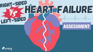 Heart Failure Right Sided vs Left Sided Assessment [upl. by Etnoval]