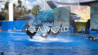 Sea World Orlando Florida 4K  allthegoodiescom [upl. by Haney548]