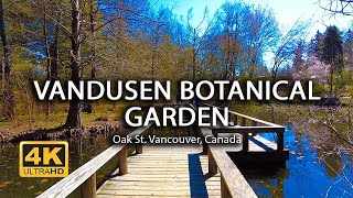 4K VanDusen Botanical Garden  Vancouver Canada  Walking Tour  Island Times [upl. by Marianna]