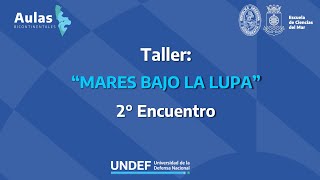 Taller MARES BAJO LA LUPA 2º Encuentro [upl. by Lowenstern]