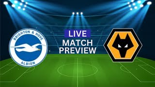 BRIGHTON VS WOLVES EFL 20242025 MATCH PREVIEW AND PREDICTION [upl. by Marinelli]