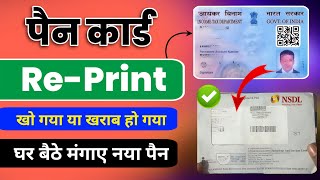 Physical Pan Card Reprint Online New Process 2024  nsdl pan reprint how to reprint pan card online [upl. by Anam307]