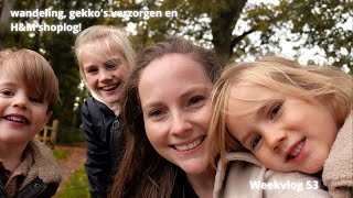 Wandeling gekkos verzorgen en HampM Shoplog Familie Elting Weekvlog 53 [upl. by Ahse]