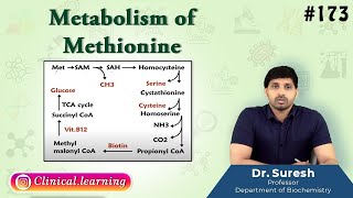 173 Metabolism Of Methionine [upl. by Llenwad]