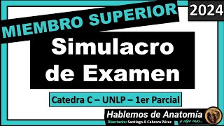 🔴👉SIMULACRO DE EXAMEN  MIEMBRO SUPERIOR 🟪 ANATOMIA C  2024 [upl. by Pandich]