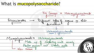 What is mucopolysaccharide [upl. by Michon]