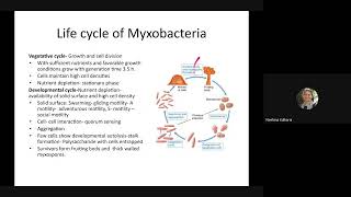 Life cycle of Myxobacteria [upl. by Petronille815]