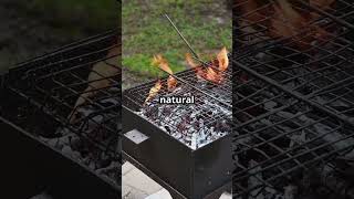 Building the ULTIMATE Sustainable Outdoor Cooking Experience [upl. by Olson]