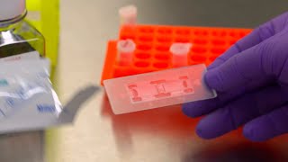 How to use a Hemocytometer for Tissue Culture Cell Counting [upl. by Menashem657]