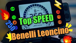 Benelli Leoncino 250 Top speed [upl. by Kall]