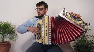 Slowenischer Bauerntanz Iz bohinja mit Steirischen Harmonika [upl. by Averi824]