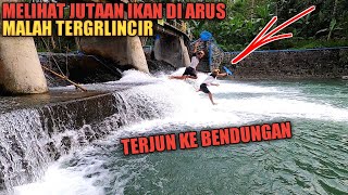 ASTAGA NYAWA TARUHANNYA Panen Jutaan Ikan Tergelincir Terjun Ke Bendungan Berakhir Seperti Ini [upl. by Annaoj263]