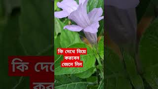 কি দেখে বিয়ে করবেনabutohawaz shorts ytshorts islamicvideo shortsfeed2024 waz2024 [upl. by Dviad]