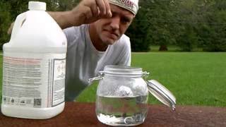 HYDROCHLORIC ACID REACTING WITH ALUMINUM FOIL [upl. by Nyroc]