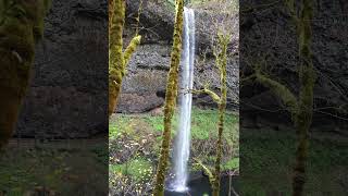 Upper South Falls video 5 vertical 6k [upl. by Ainehs775]